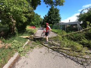 Op weg vanuit Heddesheim